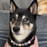 Entry image for Keiko 