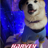 Entry image for Harvey