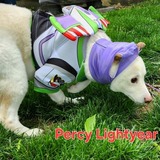 Entry image for Percy