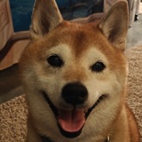 Entry image for Yuki