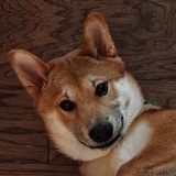 Entry image for Ares