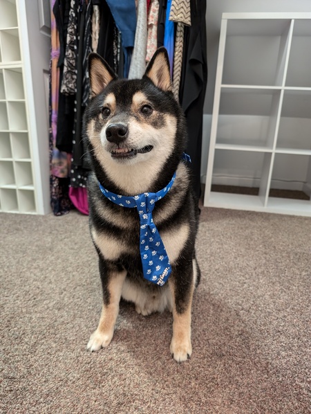 Entry image for Max. Clicking this image will show a larger photo