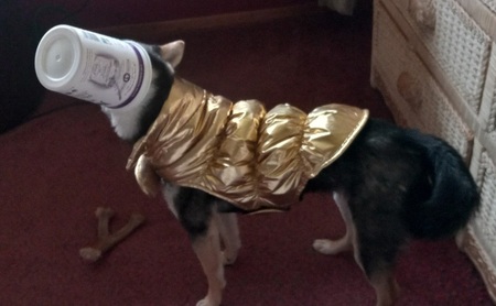 Entry image for Missy Space Warrior. Clicking this image will show a larger photo