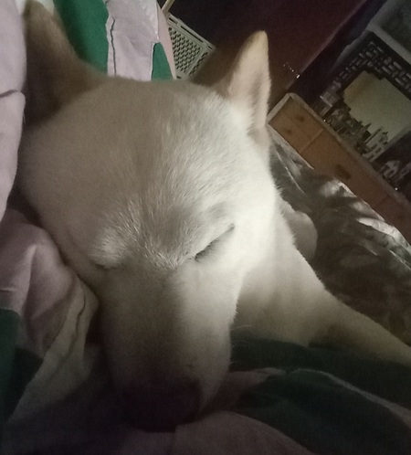 Entry image for Yuki. Clicking this image will show a larger photo