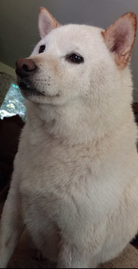 Entry image for Yuki. Clicking this image will show a larger photo