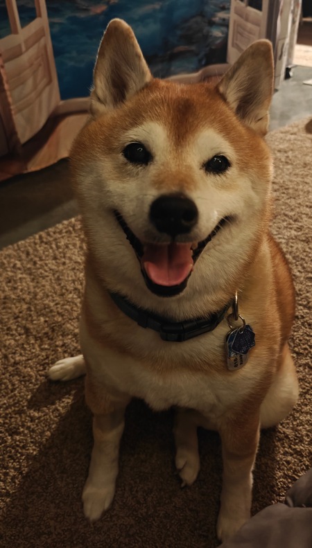 Entry image for Yuki. Clicking this image will show a larger photo
