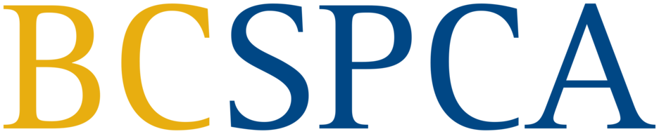 Logo for Wildlife-in-Focus