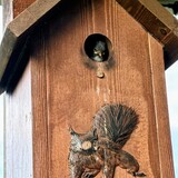 Entry image for Hello little one