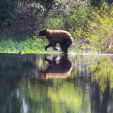 Entry image for Water crossing