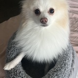 Entry image for Lucky