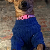 Entry image for Sydney