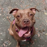 Entry image for Peach