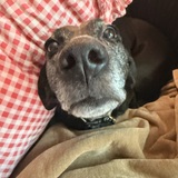 Entry image for Georgia