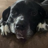 Entry image for Bella Ray