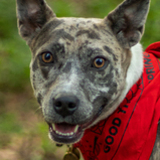 Entry image for Ruby Jean