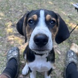 Entry image for Gimli 