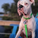 Entry image for Yuki