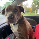 Entry image for Zuko