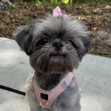 Entry image for Rosie