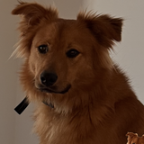 Entry image for Teddy Finn