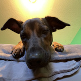 Entry image for Cassie