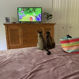 Entry image for Nikki & Tigger