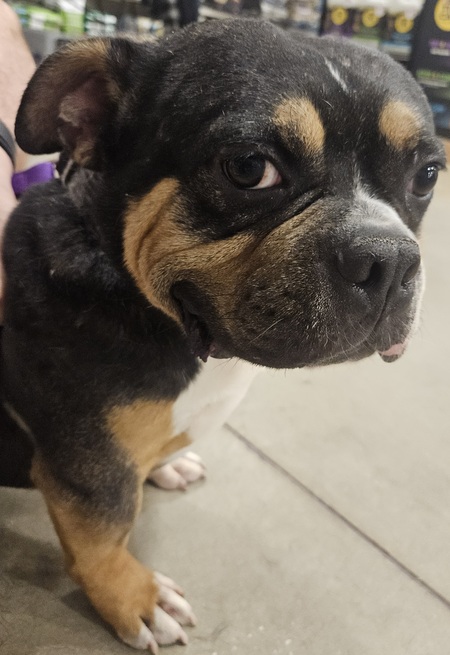 Entry image for Gil. Clicking this image will show a larger photo