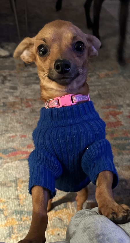 Entry image for Sydney. Clicking this image will show a larger photo