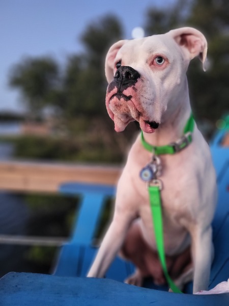 Entry image for Yuki. Clicking this image will show a larger photo