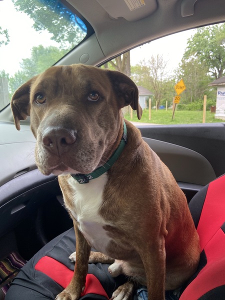 Entry image for Zuko. Clicking this image will show a larger photo