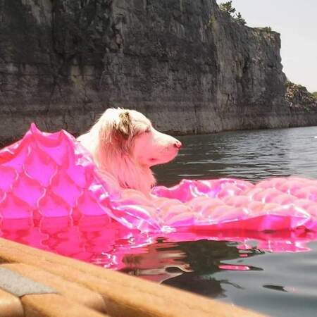 Entry image for Casey. Clicking this image will show a larger photo