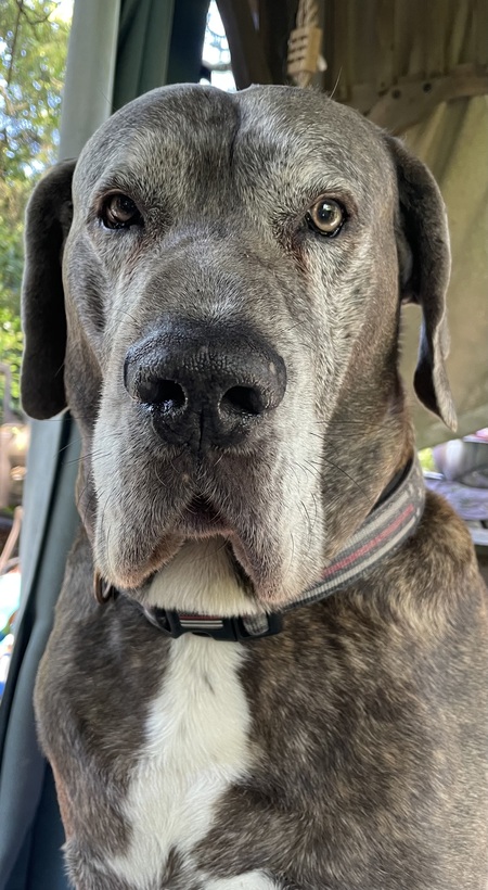 Entry image for Nigel. Clicking this image will show a larger photo