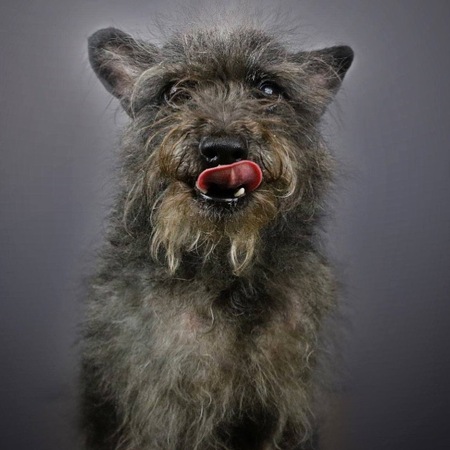 Entry image for Florence. Clicking this image will show a larger photo