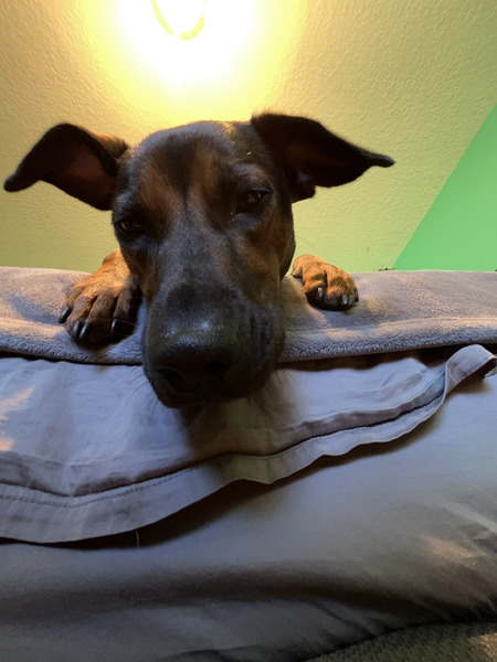 Entry image for Cassie. Clicking this image will show a larger photo