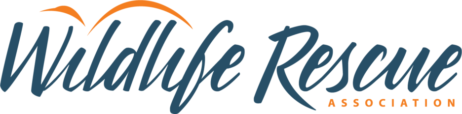 Logo for Wildlife in Your World