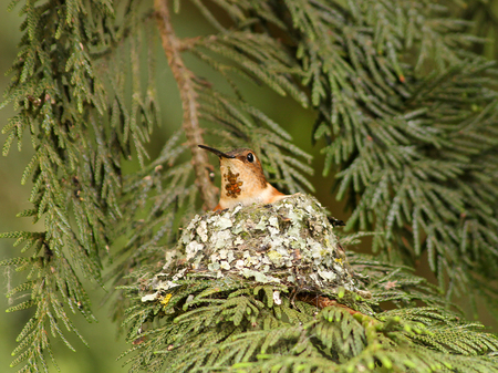 Entry image for Kim Lagemaat. Clicking this image will show a larger photo