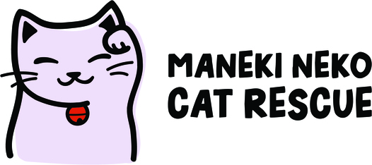 Logo for Tough Kitties – Cover Model Competition