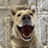 Entry image for Willie