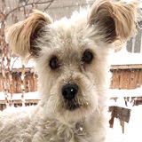 Entry image for Abby