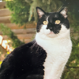 Entry image for LuLu