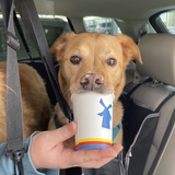 Entry image for Hank