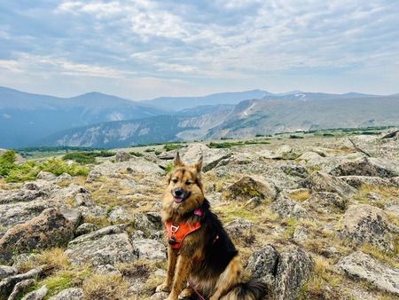 Entry image for Remi. Clicking this image will show a larger photo