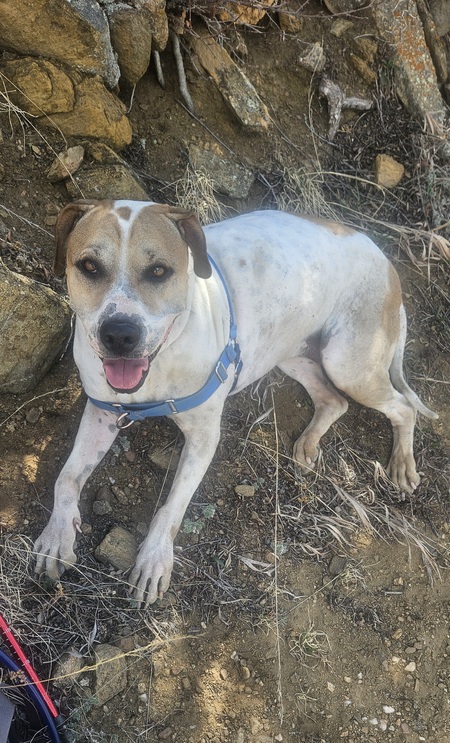 Entry image for Gila . Clicking this image will show a larger photo