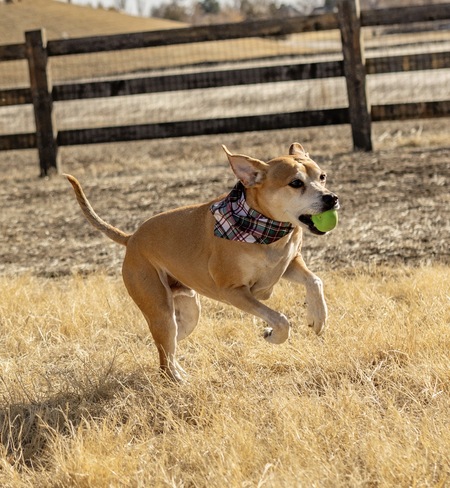 Entry image for Theodore. Clicking this image will show a larger photo