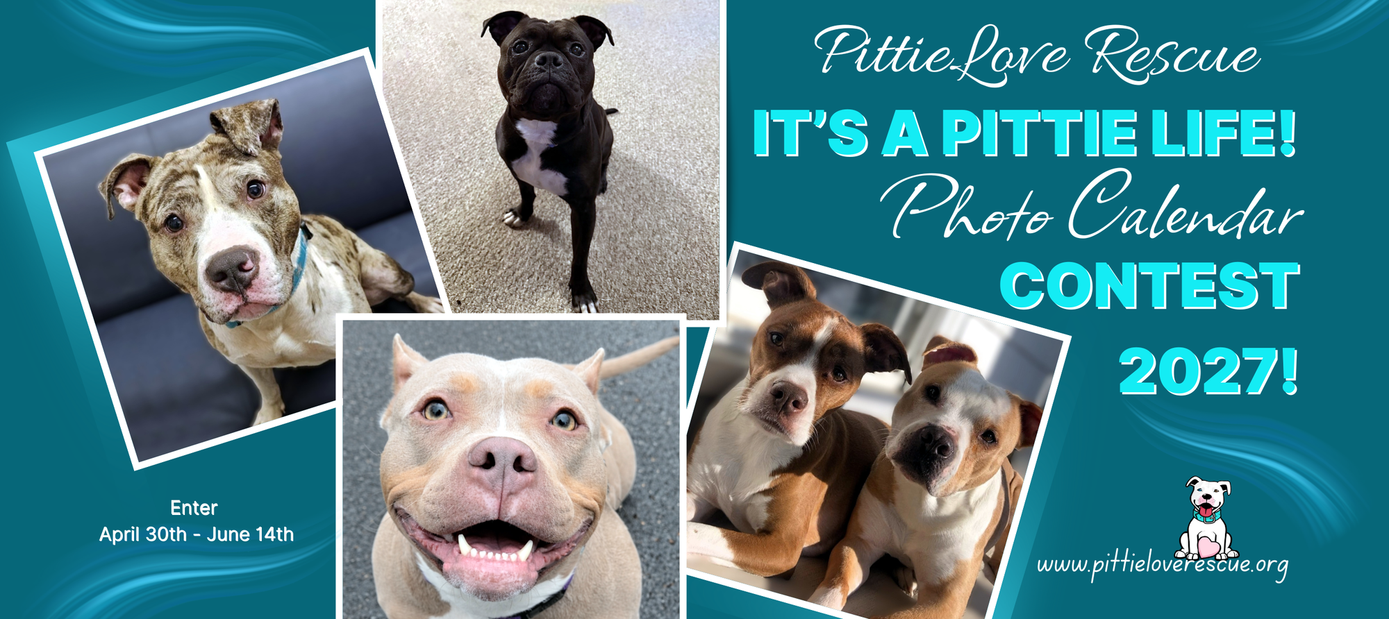 Banner for It's a Pittie Life!