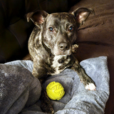 Entry image for Kizi