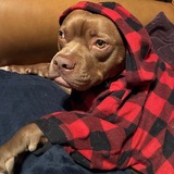 Entry image for Finn