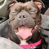 Entry image for Ellie