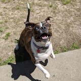 Entry image for Kahlua