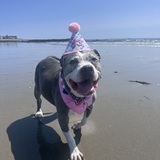 Entry image for Lexi 